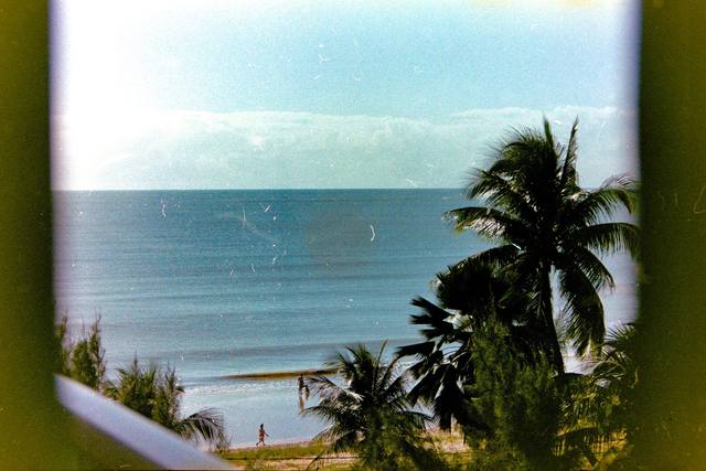 sea and palm framed through a window, film look