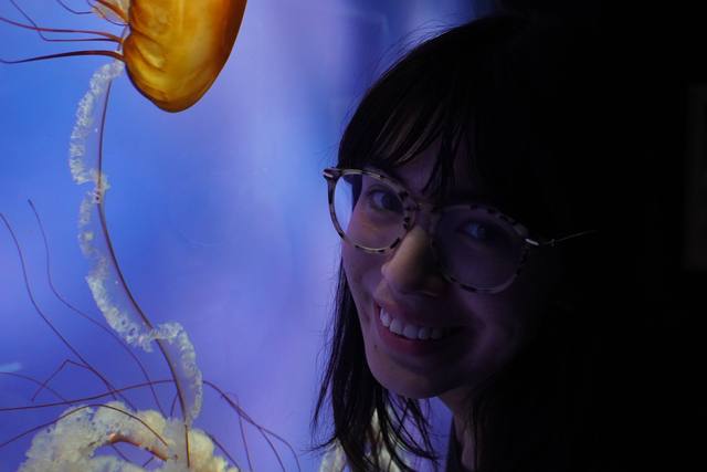 face lit blue beside jellyfish