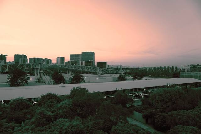 pastel-sunset cityscape with greenery
